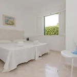 Biniforcat 21